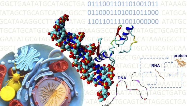 Computational Biology vs Bioinformatics Comparison