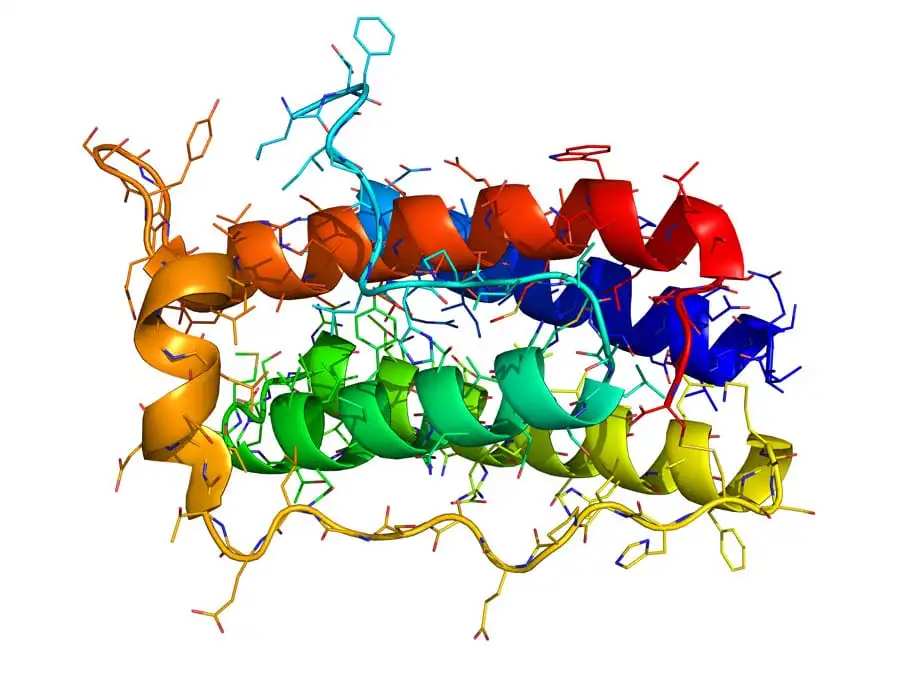 Why is Bioinformatics Impotant