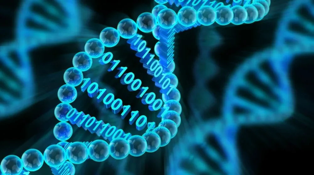 Computational Biology vs Bioinformatics