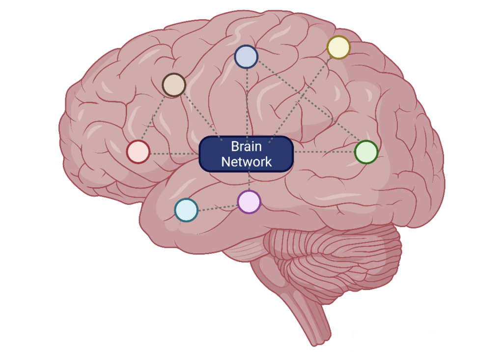 Brain Connectomes-TDA