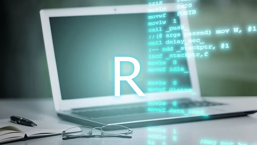 R Programming in Data Science