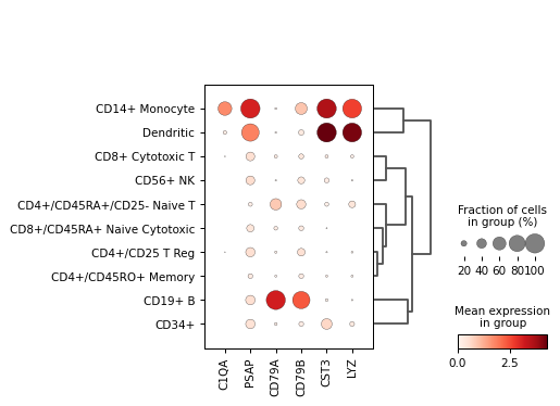 Scanpy Dotplot