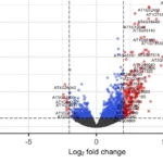 Volcano Plot RNA-Seq Guide