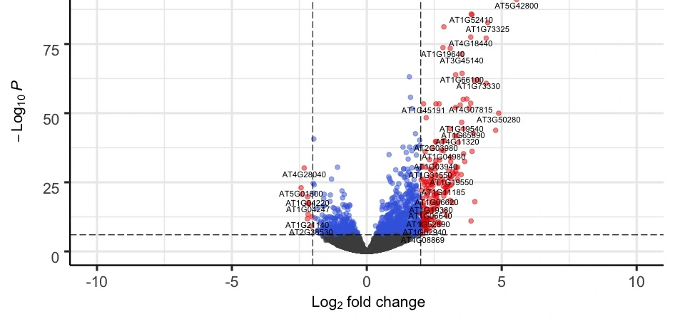 Volcano Plot RNA-Seq Guide