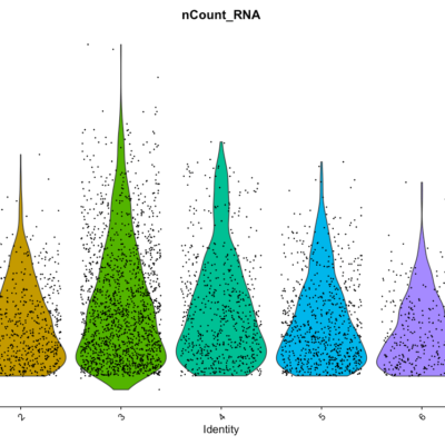 How to Filter Cells in Seurat SC RNA Analysis