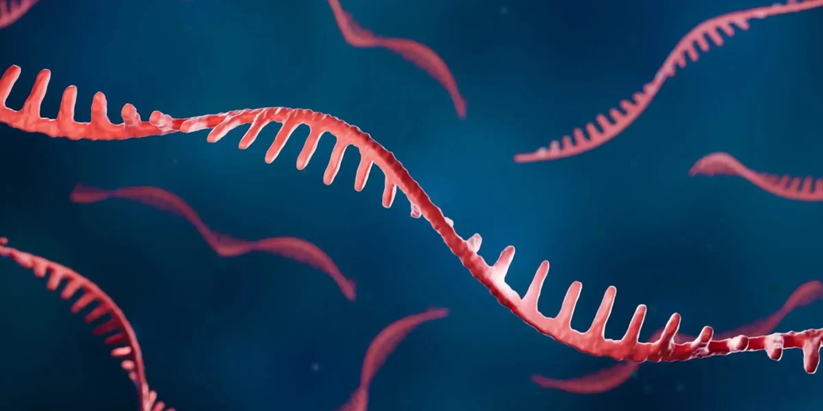 Seurat Single Cell RNA-Seq Analysis Pipeline 2024